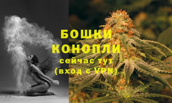 крисы Елабуга