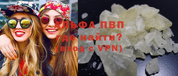 крисы Елабуга