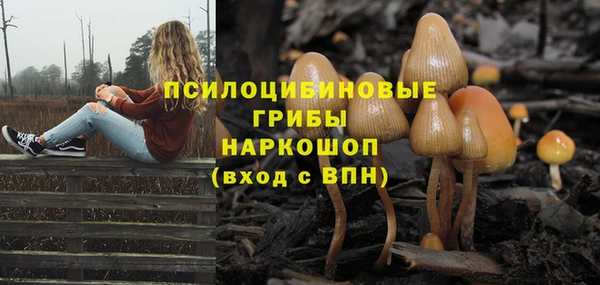 наркотики Дмитриев