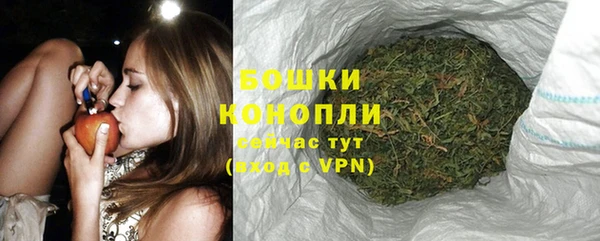 крисы Елабуга
