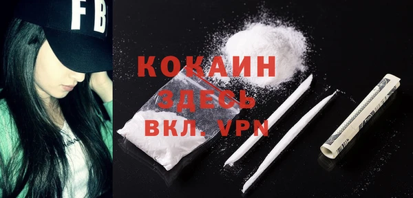 шишки Елизово