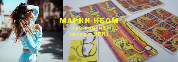 шишки Елизово