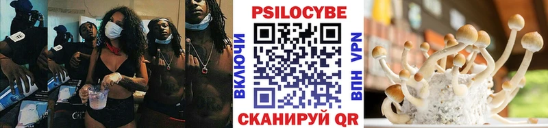 Купить где  Невельск  Галлюциногенные грибы GOLDEN TEACHER 